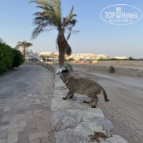 фото из отзыва ID 2715954