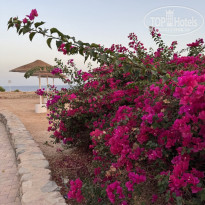 фото из отзыва ID 2715954