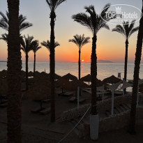 фото из отзыва ID 2715963