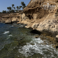 фото из отзыва ID 2715963