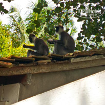 фото из отзыва ID 2715972