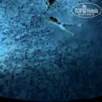 фото из отзыва ID 2715985