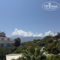 фото из отзыва ID 2715584