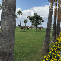 фото из отзыва ID 2716002