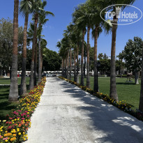 фото из отзыва ID 2716002