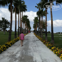 фото из отзыва ID 2716002