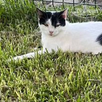 фото из отзыва ID 2715803