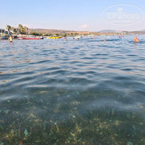 фото из отзыва ID 2716028