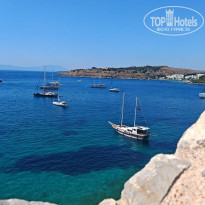 фото из отзыва ID 2716028