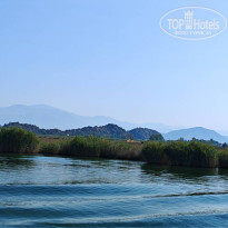 фото из отзыва ID 2716028