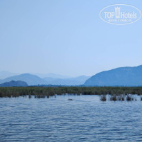 фото из отзыва ID 2716028