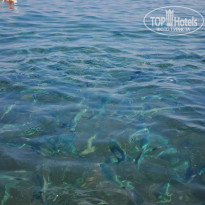 фото из отзыва ID 2716028