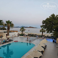 фото из отзыва ID 2716028