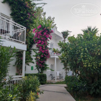 фото из отзыва ID 2716028