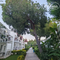 фото из отзыва ID 2716028