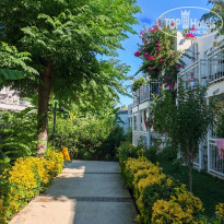 фото из отзыва ID 2716028