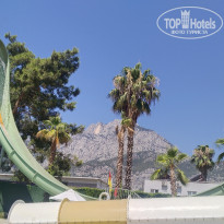 фото из отзыва ID 2716049