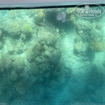 фото из отзыва ID 2716088