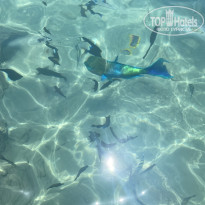 фото из отзыва ID 2716088