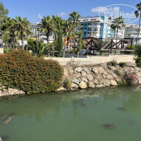 фото из отзыва ID 2716112