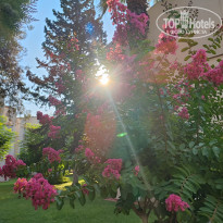 фото из отзыва ID 2716118