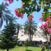 фото из отзыва ID 2716118