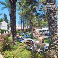 фото из отзыва ID 2716118