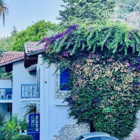 фото из отзыва ID 2716146