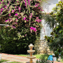 фото из отзыва ID 2716146