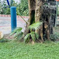 фото из отзыва ID 2716146