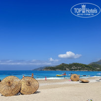 фото из отзыва ID 2716146