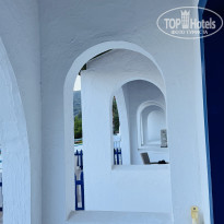 фото из отзыва ID 2716146