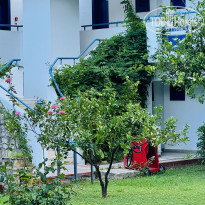 фото из отзыва ID 2716146