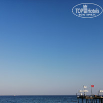 фото из отзыва ID 2716177