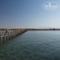 фото из отзыва ID 2713659