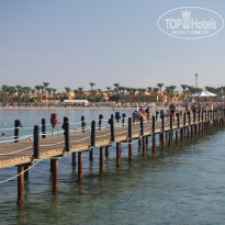 фото из отзыва ID 2713659