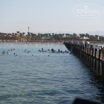 фото из отзыва ID 2713659