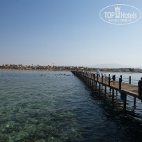 фото из отзыва ID 2713659