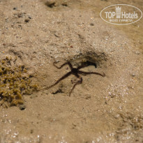 фото из отзыва ID 2713659