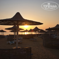 фото из отзыва ID 2713659