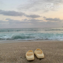 фото из отзыва ID 2716221