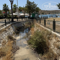 фото из отзыва ID 2716256