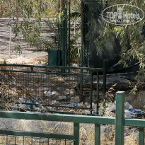 фото из отзыва ID 2716256