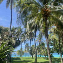 фото из отзыва ID 2716278