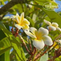 фото из отзыва ID 2716314