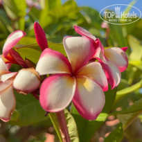 фото из отзыва ID 2716314