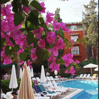 фото из отзыва ID 2716319