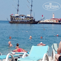 фото из отзыва ID 2716319