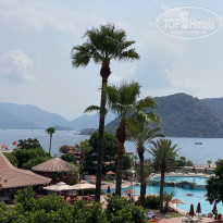 фото из отзыва ID 2716346