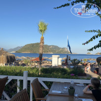 фото из отзыва ID 2716346